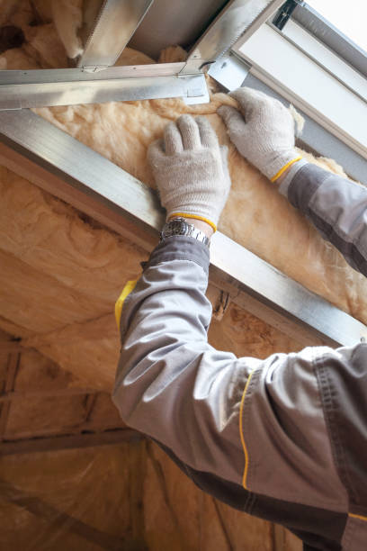 Best Crawl Space Insulation  in Sweeny, TX